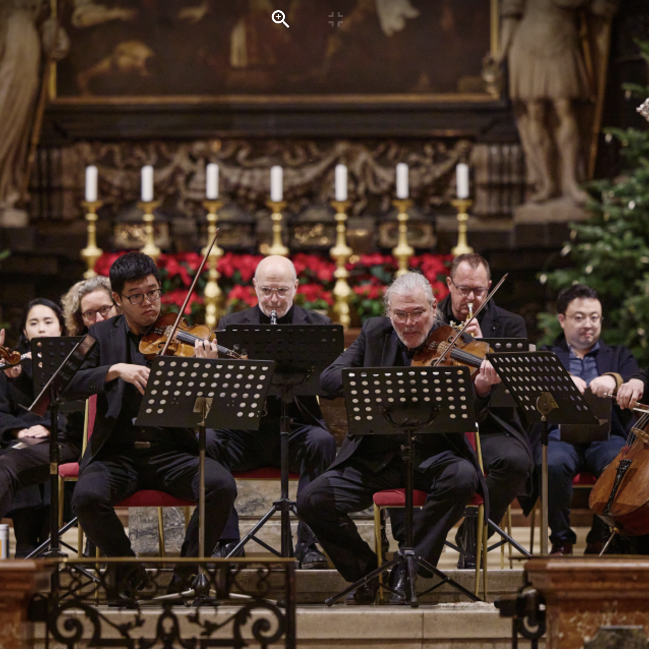 Adventkonzerte im Stephansdom